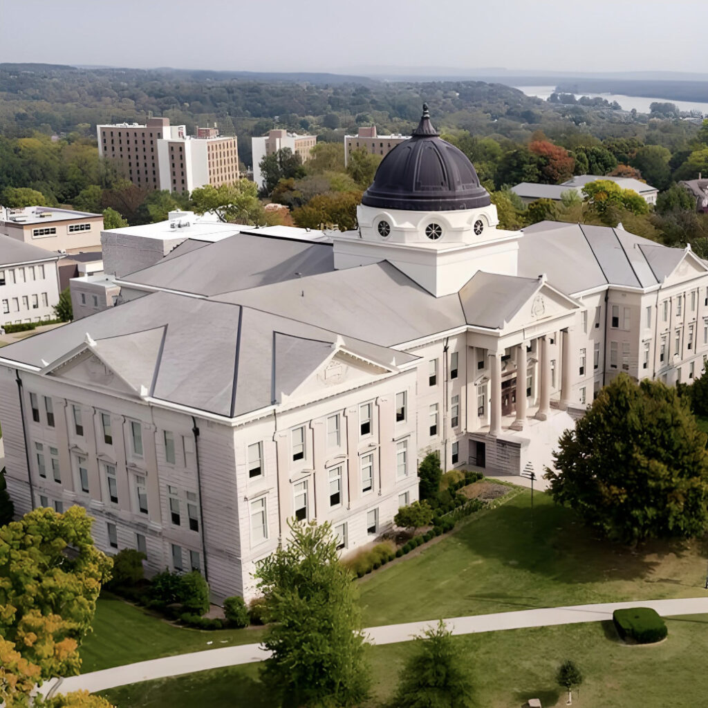 chuyên ngành phổ biến